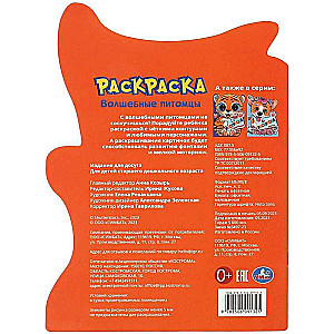 Magic Pets Coloring Book