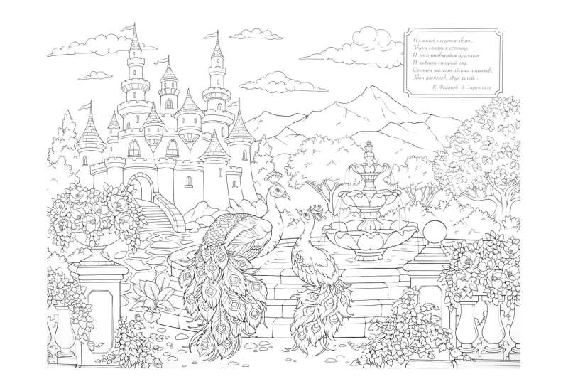 The Wonderful Garden. My Biggest Coloring Book