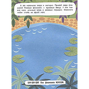 Zoo Residents: Sticker Book