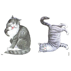 Pets in Pictures. Visual Aid for Educators, Speech Therapists, and Caregivers