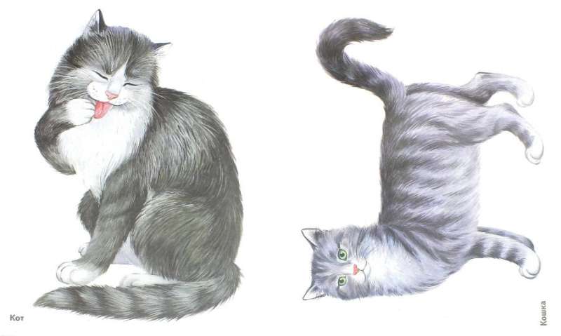 Pets in Pictures. Visual Aid for Educators, Speech Therapists, and Caregivers