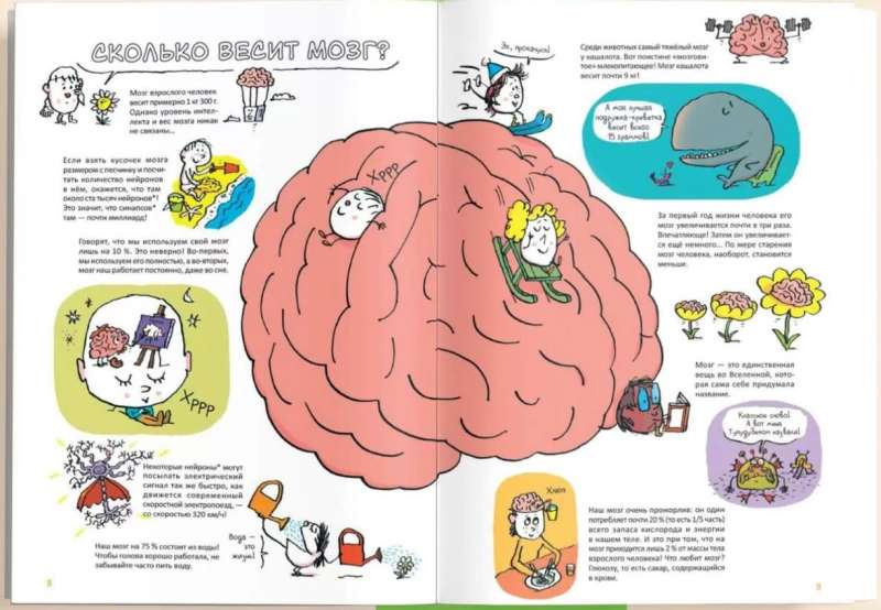 Superbrain. Children's Questions About Intelligence and Memory