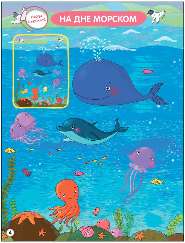Find the Differences. Animals