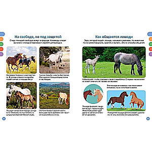 Horses