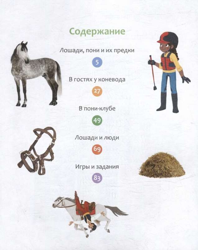 Horses