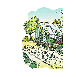 Garden Diary of a Summer Resident
