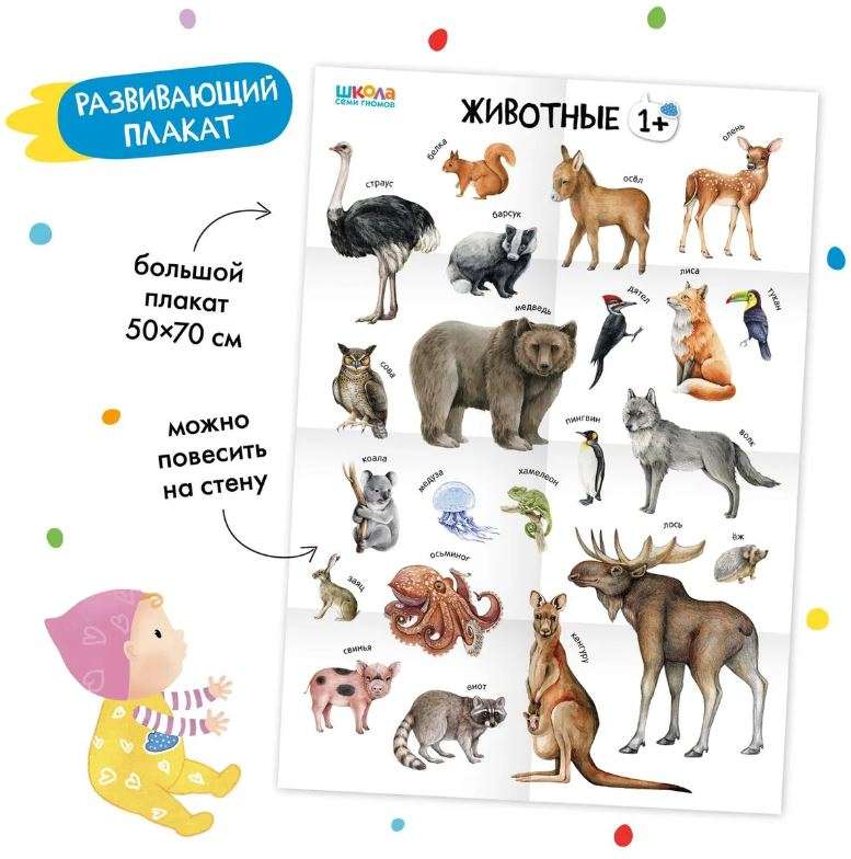School of Seven Dwarfs. Basic Course. World Around Us. Set 1+