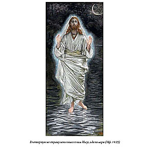 The Bible. New Testament