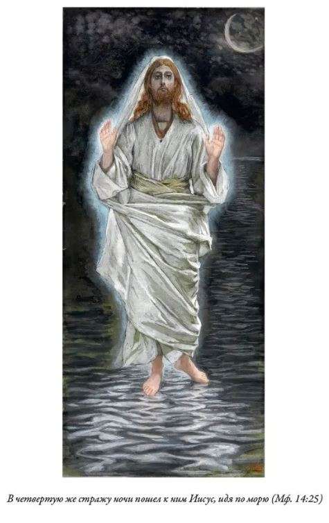 The Bible. New Testament