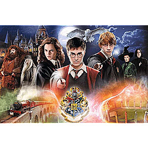 Puzzle 300 Trefl: The Secret Harry Potter