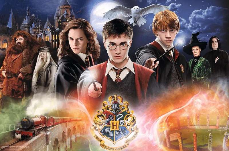 Puzzle 300 Trefl: The Secret Harry Potter