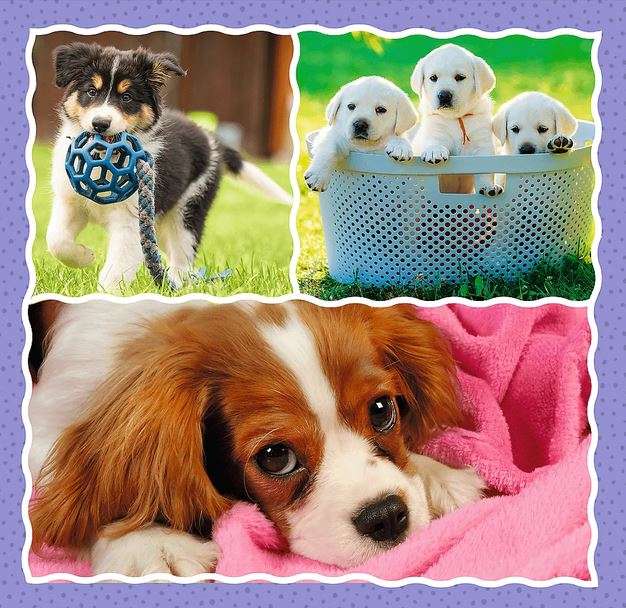 3in1 Trefl Puzzle: Lovely Dogs