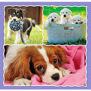 3in1 Trefl Puzzle: Lovely Dogs