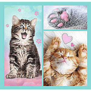 Puzzle 3in1 Trefl: Sweet animals