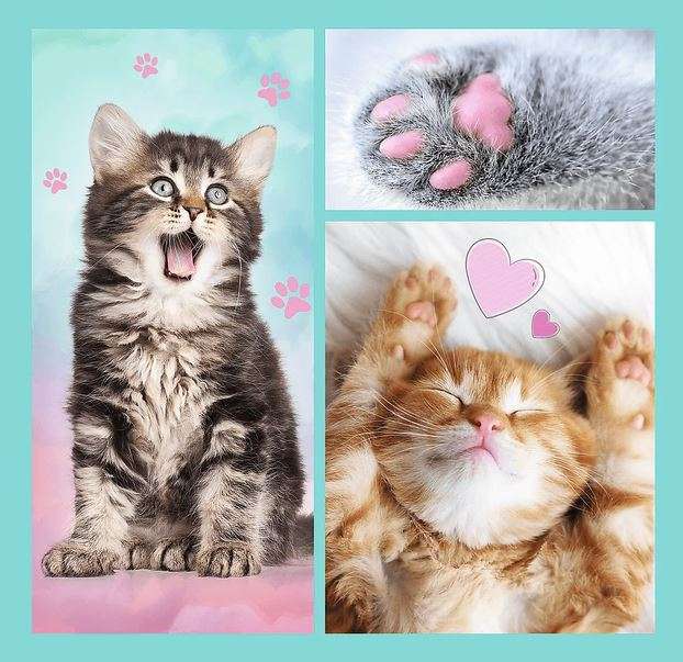 Puzzle 3in1 Trefl: Sweet animals
