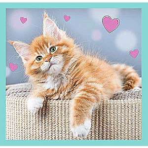 Puzzle 3in1 Trefl: Sweet animals