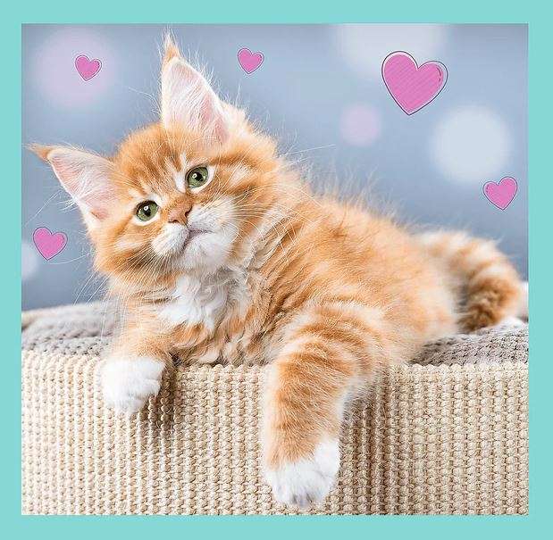 Puzzle 3in1 Trefl: Sweet animals