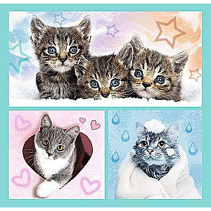 Puzzle 3in1 Trefl: Sweet animals