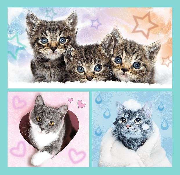 Puzzle 3in1 Trefl: Sweet animals