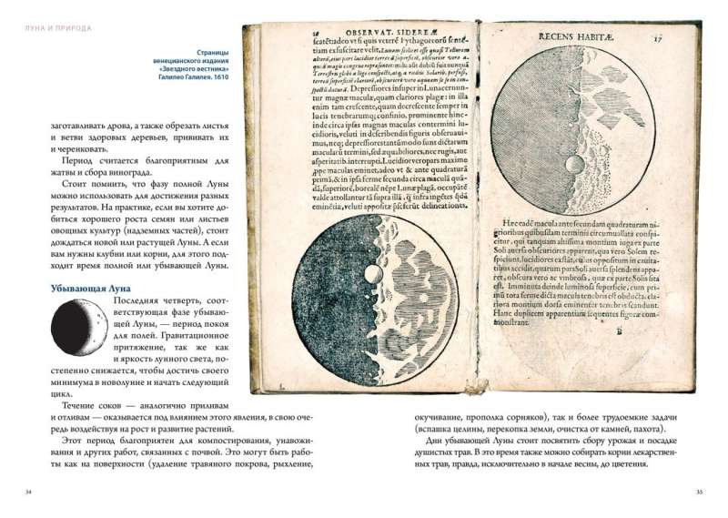 The Moon in Mythology, Culture, and Esotericism