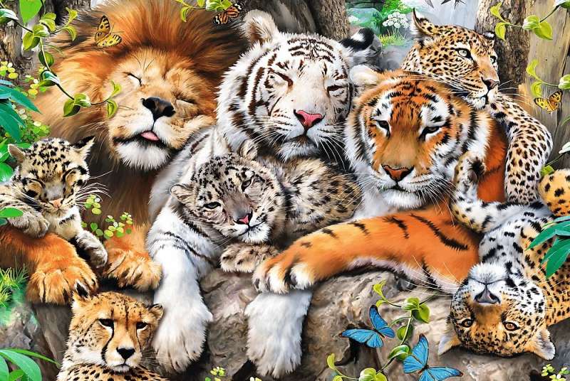 Puzzle 500+1 Trefl: Wild Cats in the Jungle