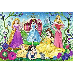Puzzle 70 Glitter Trefl: Disney Princess