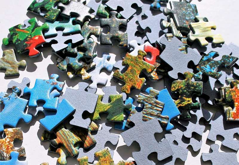 Puzzle 1000 Trefl: Samudra Beach, India