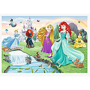 Puzzle 60 Trefl: Meet the Princesses