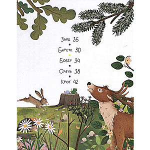 Forest Animals