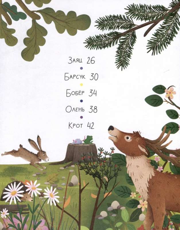 Forest Animals