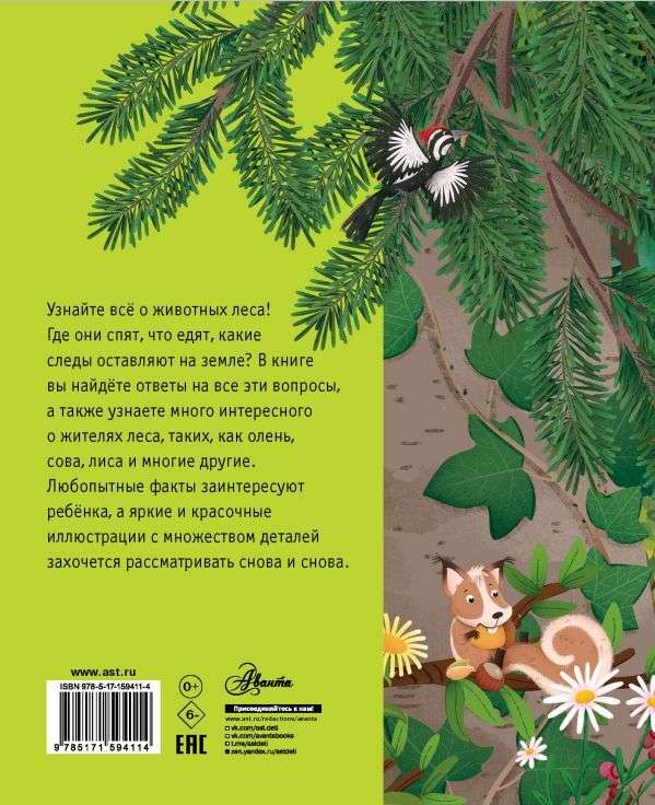 Forest Animals