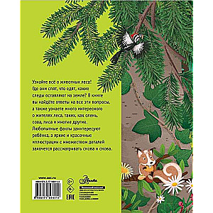 Forest Animals