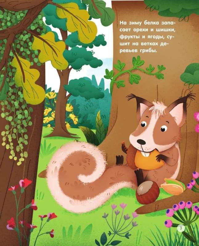 Forest Animals