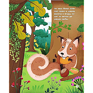 Forest Animals