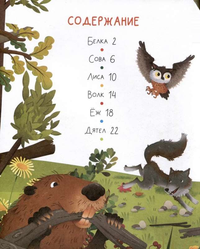Forest Animals