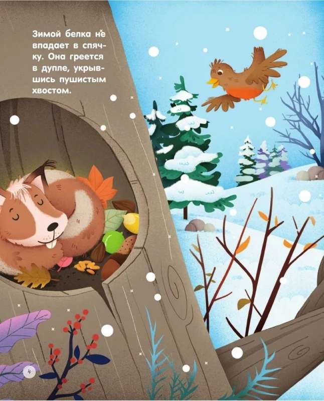 Forest Animals