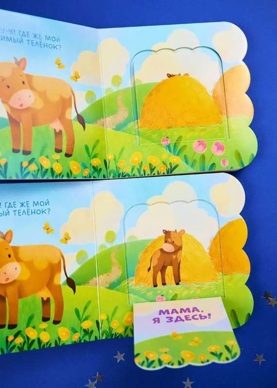 Book with Windows. Animals