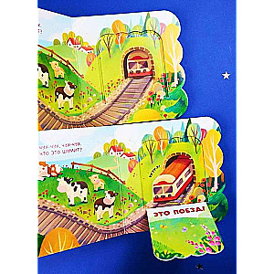 Book with Windows. Transport