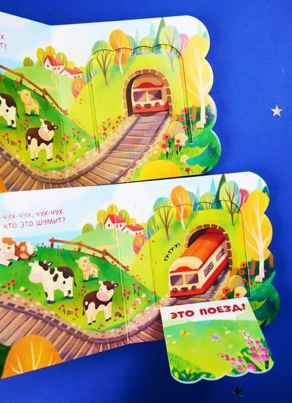 Book with Windows. Transport