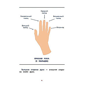 Interhemispheric Interaction. Developmental Tasks for a Child