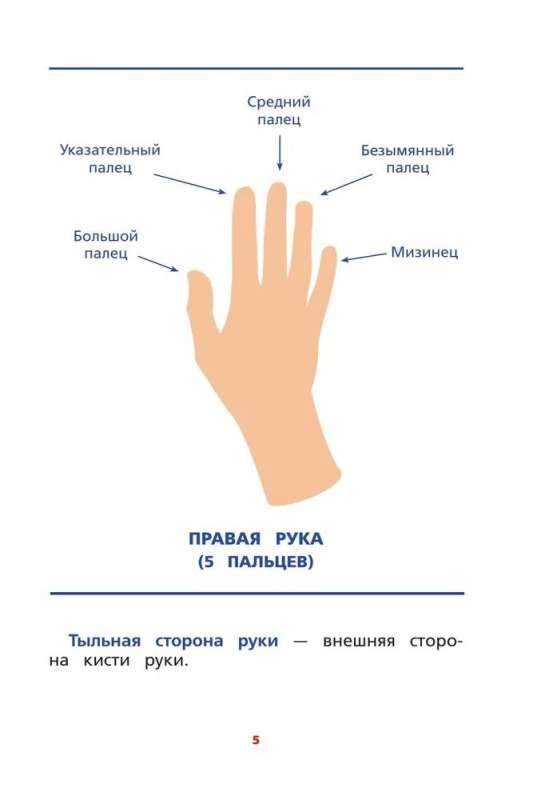 Interhemispheric Interaction. Developmental Tasks for a Child