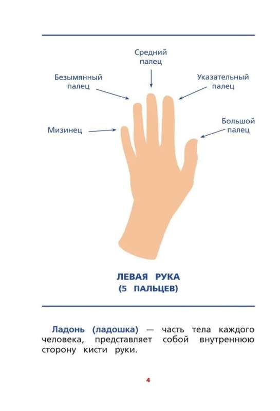 Interhemispheric Interaction. Developmental Tasks for a Child
