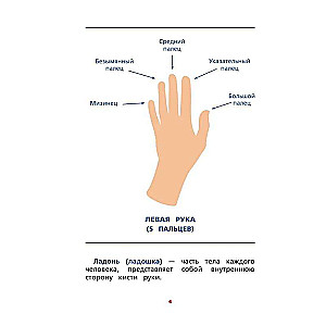 Interhemispheric Interaction. Developmental Tasks for a Child
