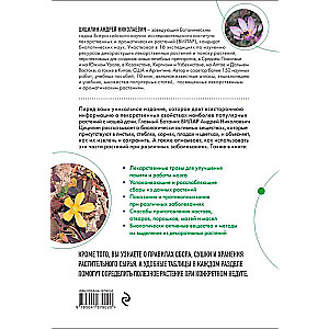 Decorative Medicinal Plants in the Garden