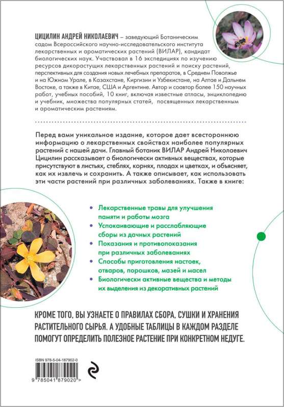 Decorative Medicinal Plants in the Garden