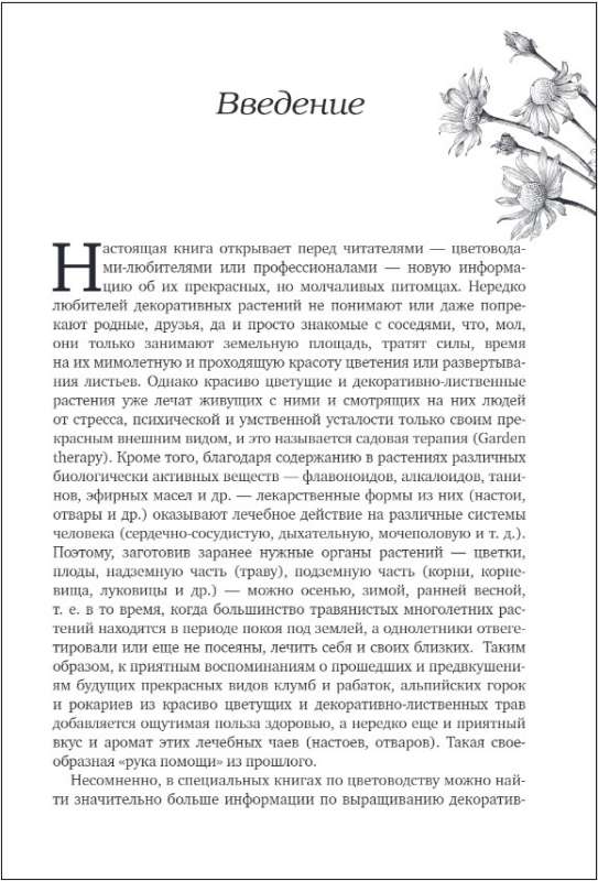 Decorative Medicinal Plants in the Garden