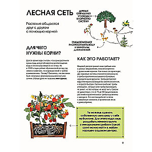 The Language of Plants. Understanding How Plants Communicate