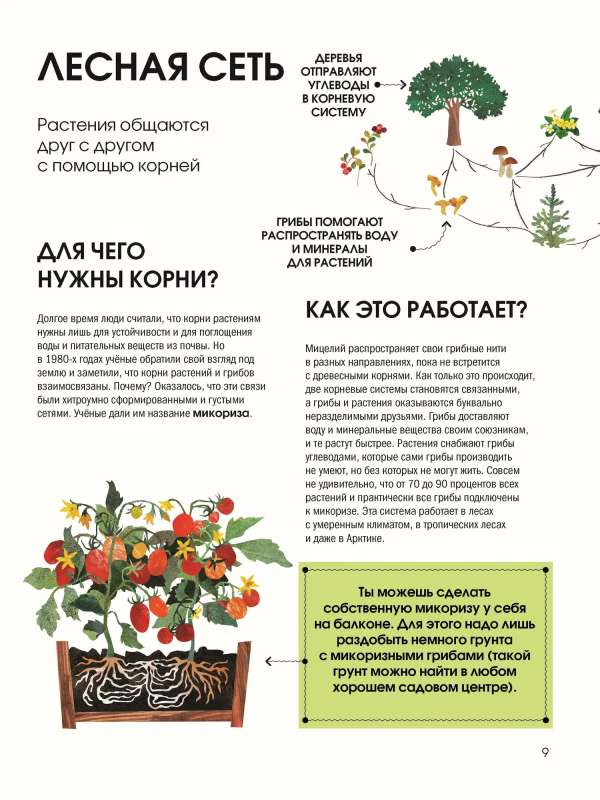The Language of Plants. Understanding How Plants Communicate