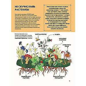 The Language of Plants. Understanding How Plants Communicate