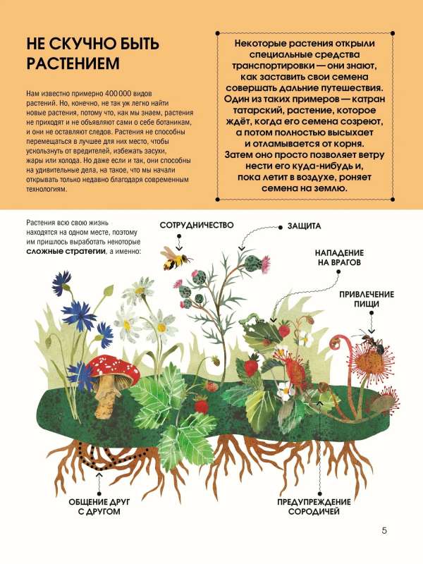 The Language of Plants. Understanding How Plants Communicate
